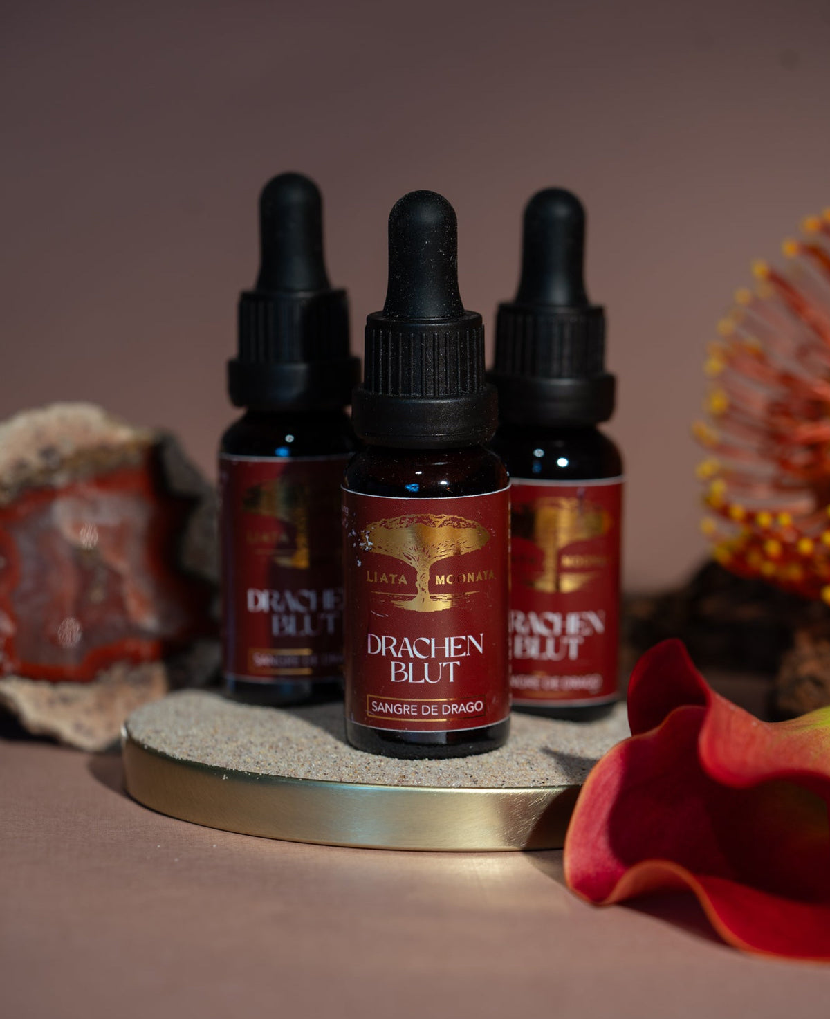 DRACHENBLUT - Sangre de Drago