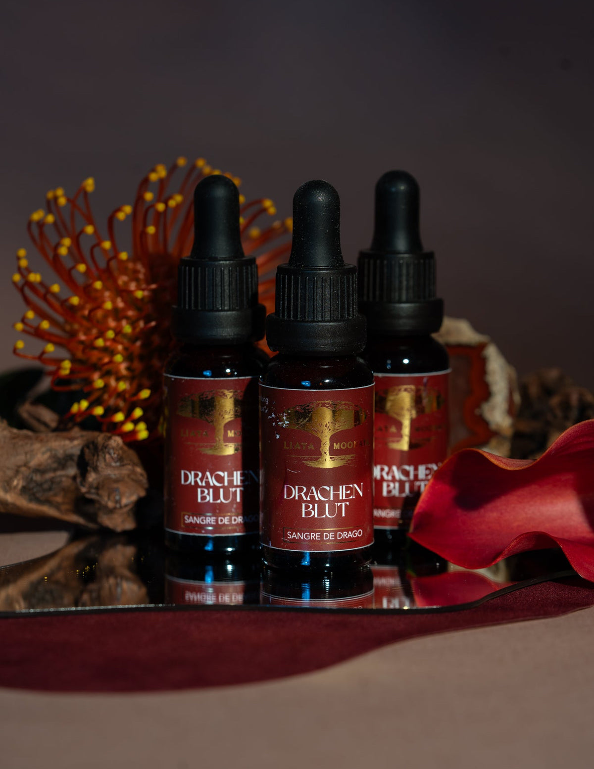 DRACHENBLUT - Sangre de Drago